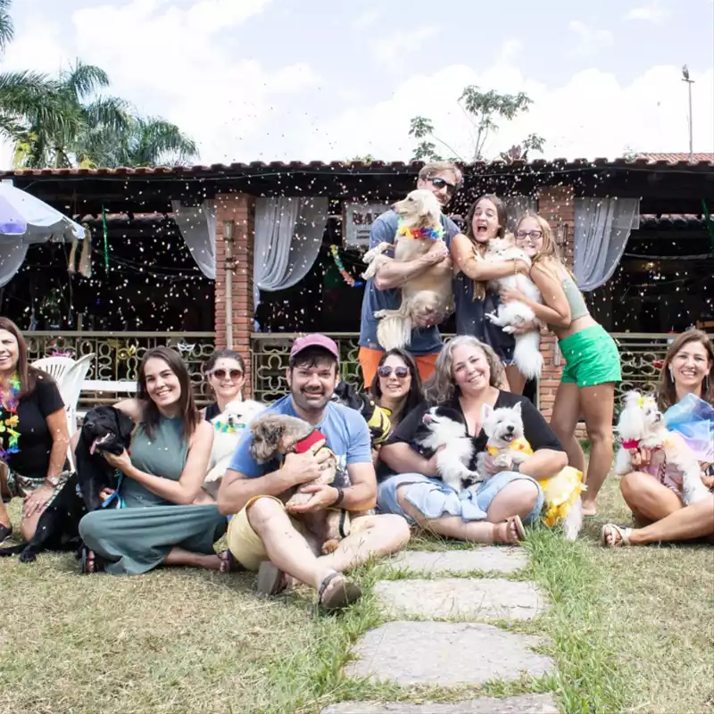 Restaurante Pet Friendly em JF: Barcão